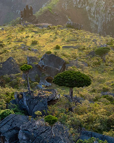 Фото из поездки image 6