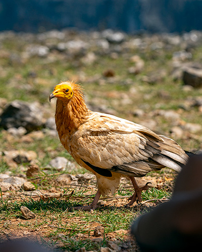 Фото из поездки image 7