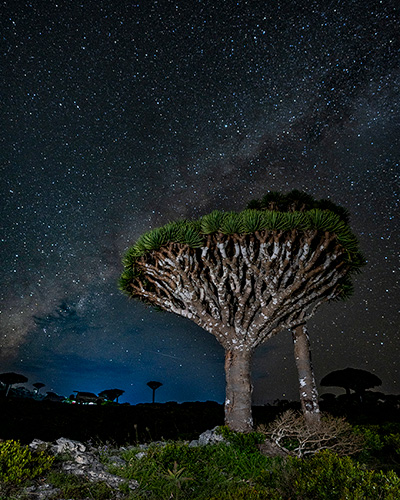 Фото из поездки image 8