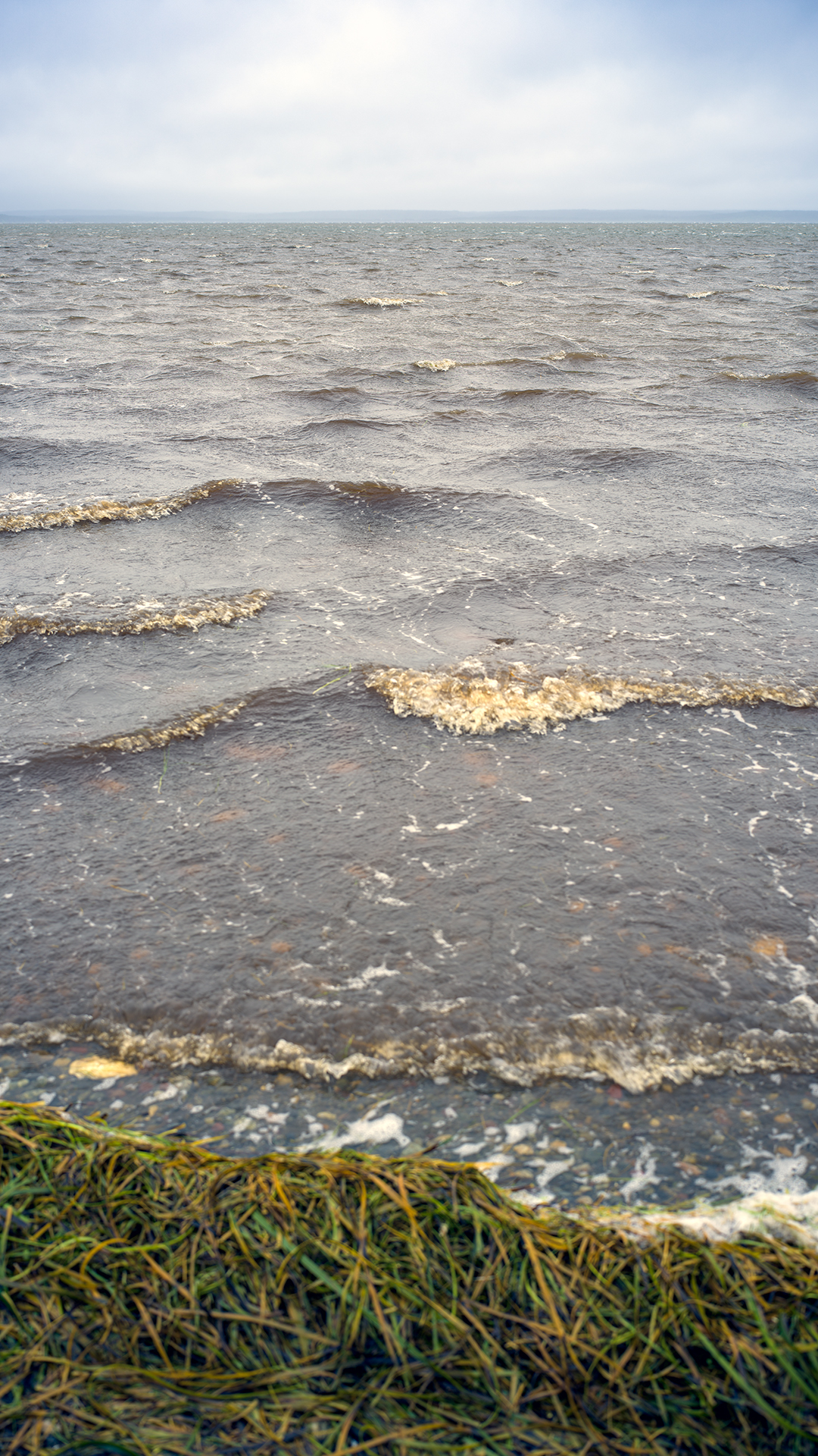 Сахалин 20-28 июня