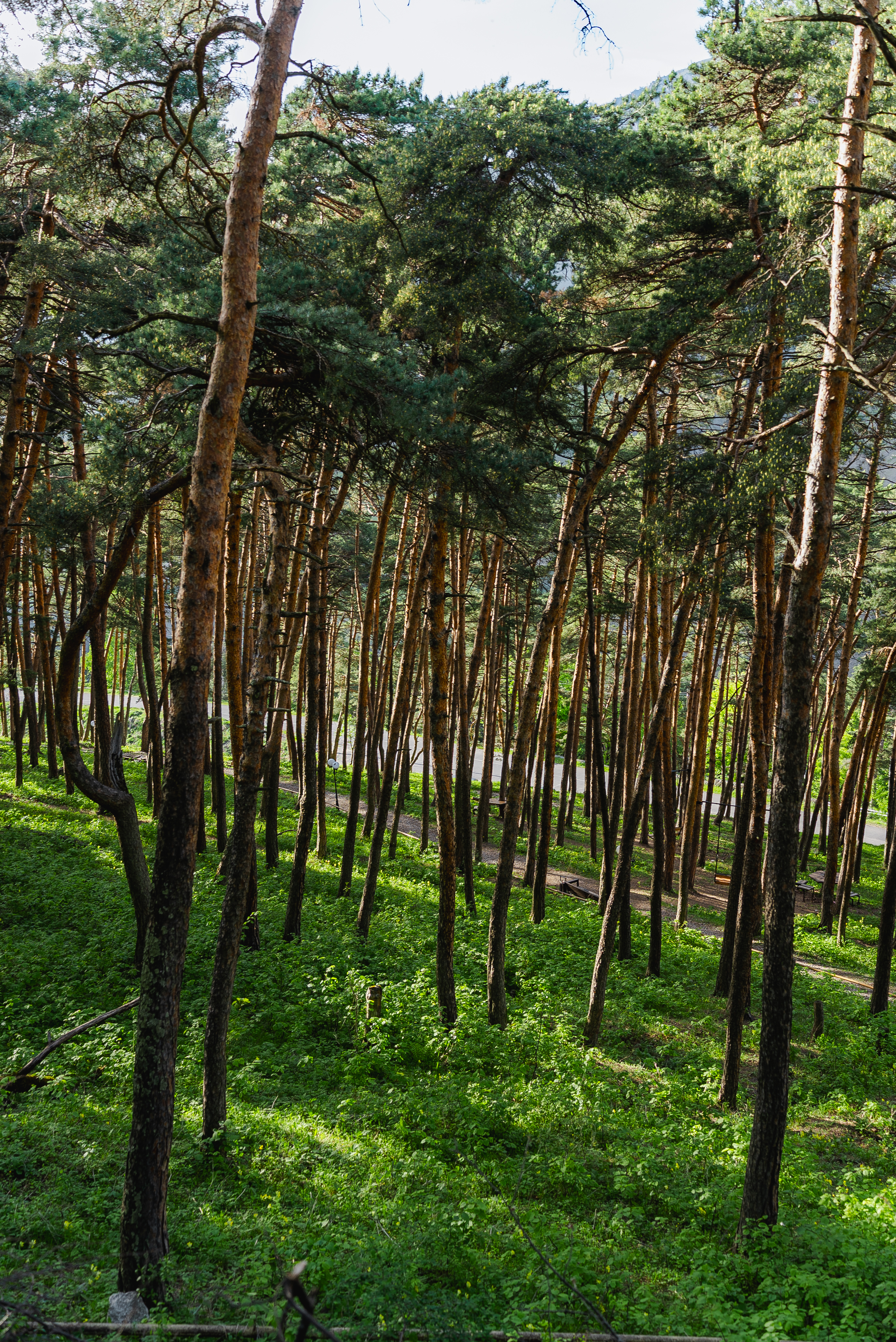 Осетия 11-14 Июня